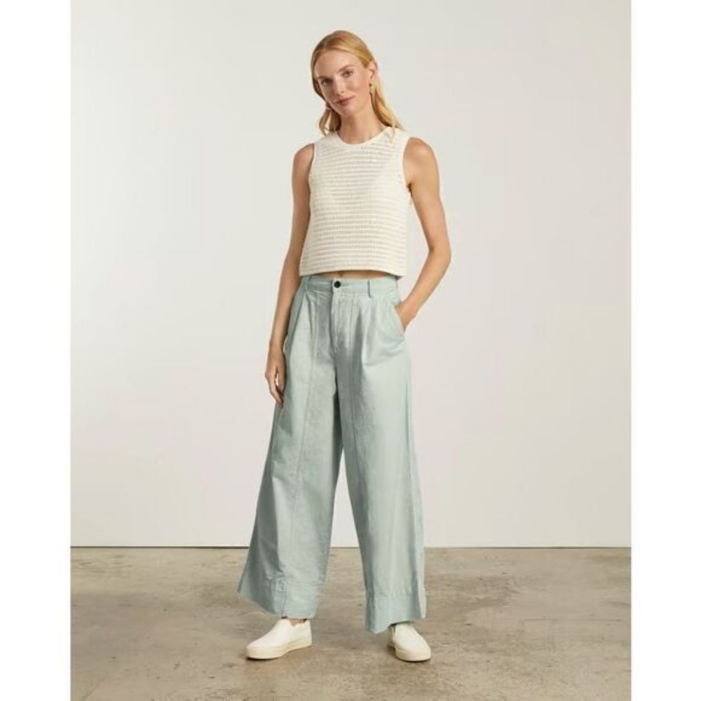 Everlane Light Blue Wide Leg Pants